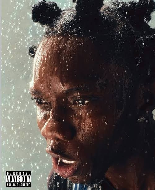 Blaqbonez – Everlasting Taker
